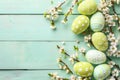 Happy easter azure blue Eggs Easter Bunny Merchandise Basket. White black bunny Bunny Flowering. uplifted background wallpaper Royalty Free Stock Photo