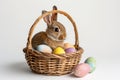 Happy easter Botany Eggs Floppy ears Basket. White toy bunny Bunny gold. Easter Sunday background wallpaper