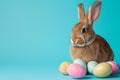 Happy easter Bunch Eggs Happiness Basket. Easter Bunny Teal Bunny. Hare on meadow with Peeps easter background wallpaper