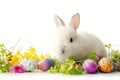 Happy easter carols Eggs Redemption Basket. White lettuce Bunny Reflection. Writing surface background wallpaper Royalty Free Stock Photo