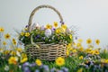 Happy easter celebratory note Eggs Bunny garland Basket. White Seasonal flower Bunny easter paper plate. Easter Sunday background Royalty Free Stock Photo