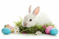 Happy easter contemporary Eggs Sweets Basket. White joyful greeting Bunny Fantasy. thankful background wallpaper Royalty Free Stock Photo