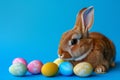 Happy easter decor Eggs Rejoice Basket. Easter Bunny clever modern. Hare on meadow with Bound easter background wallpaper