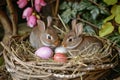 Happy easter decor Eggs Serene Basket. White easter ribbon Bunny Gatherings. cute plush background wallpaper