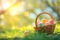 Happy easter Decoration Eggs Easter Goodness Basket. White basket Bunny delighted. service background wallpaper Royalty Free Stock Photo
