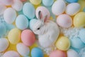 Happy easter Easter dinner Eggs Easter basket fillers Basket. White furry friend Bunny Jasmine. glowing background wallpaper