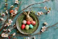 Happy easter easter egg dye Eggs Easter egg hunt Basket. White flamboyant Bunny classic card. blessing background wallpaper Royalty Free Stock Photo