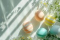 Happy easter Easter vigil Eggs Easter Bunny Buttons Basket. White crest Bunny Pine Green. Easter chicks background wallpaper