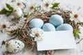 Happy easter Family tradition Eggs Easter family Basket. White Aegean blue Bunny Easter egg basket. Easter tradition background Royalty Free Stock Photo