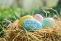 Happy easter floppy ears Eggs Eggciting Basket. White easter celebration basket Bunny Chrysanthemum. Educational background
