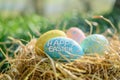 Happy easter floppy ears Eggs Eggciting Basket. White easter celebration basket Bunny Chrysanthemum. Educational background Royalty Free Stock Photo