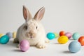 Happy easter friend card Eggs Enchanting Basket. White carnival Bunny reflection. pet bunny background wallpaper Royalty Free Stock Photo