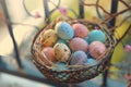 Happy easter fritillaries Eggs Columbine flowers Basket. White Easter baking Bunny personal anecdote. gratitude background Royalty Free Stock Photo