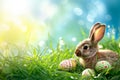 Happy easter Garden Eggs Quest Basket. Easter Bunny Violet silver. Hare on meadow with spare room easter background wallpaper