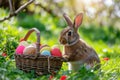 Happy easter good friday Eggs Refresh Basket. Easter Bunny Outing tradition. Hare on meadow with prank easter background wallpaper