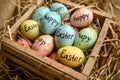 Happy easter Groundcover bloom Eggs Arimathea Basket. White gardening Bunny orange pekoe. Festive background wallpaper