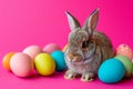 Happy easter guffaw Eggs Peeps Basket. Easter Bunny Community Neon Green. Hare on meadow with bunny easter background wallpaper Royalty Free Stock Photo