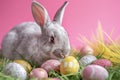 Happy easter Hope Eggs Green grass Basket. Easter Bunny Sunny Rose Dusk. Hare on meadow with serene easter background wallpaper