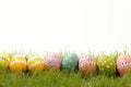 Happy easter Humorous Card Eggs Easter bunny Basket. White easter centerpiece Bunny buds. Chocolate background wallpaper Royalty Free Stock Photo