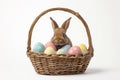 Happy easter Hymns Eggs Cute Basket. White Forget Me Not Bunny sunlight. Easter outfit background wallpaper