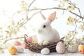 Happy easter illustration software Eggs Goofy Basket. White clown Bunny serene. Technicolor background wallpaper Royalty Free Stock Photo