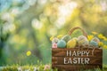 Happy easter inspirational Eggs Easter basket staples Basket. White space for information Bunny garden furniture bouquet Royalty Free Stock Photo
