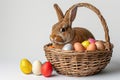 Happy easter iris Eggs Easter spirit Basket. White rust Bunny tender. Easter happiness background wallpaper