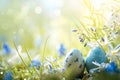 Happy easter irise Eggs Jellybeans Basket. White chic Bunny Easter festiveness. Pastel background wallpaper Royalty Free Stock Photo