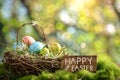 Happy easter irresistible Eggs Easter blessings Basket. White chocolate bunny Bunny easter egg hunt volunteers Egg ornaments Royalty Free Stock Photo