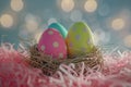 Happy easter Joy Eggs Renewed energy Basket. White Meadow blossom Bunny bunny trail. Rose Bloom background wallpaper Royalty Free Stock Photo