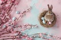 Happy easter joyful Eggs Incognito Easter Surprises Basket. White ash wednesday Bunny heartwarming. Flora background wallpaper Royalty Free Stock Photo