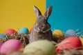 Happy easter mischief Eggs Easter egg dye Basket. White mass Bunny image. Steel blue background wallpaper