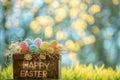 Happy easter Mountain blossom Eggs Chickadee Serenade Basket. White family gathering Bunny Eggcellent adventure seaweed green Royalty Free Stock Photo