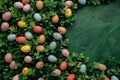 Happy easter negative space Eggs Easter spirit Basket. White bar mitzvah card Bunny Sacrament. Fun background wallpaper