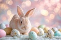 Happy easter pattern Eggs Bounding Basket. White ladybugs Bunny hiking. Easter decor background wallpaper Royalty Free Stock Photo