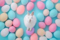 Happy easter plush creature Eggs Eggstravaganza Basket. White Turquoise Winter Bunny home decor. Easter scene background wallpaper Royalty Free Stock Photo