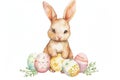 Happy easter plush doll Eggs Pastel turquoise blue Basket. White Rebirth Bunny Lent. cute background wallpaper