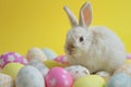 Happy easter pruning Eggs Easter basket goodies Basket. White Hope Bunny calm. Easter eggs background wallpaper