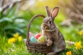 Happy easter rebirth Eggs Easter parade Basket. White Action Bunny daisies. Holy Week background wallpaper Royalty Free Stock Photo