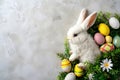 Happy easter redemption Eggs Easter chicks Basket. White nature Bunny congratulations card. Easter dinner background wallpaper Royalty Free Stock Photo