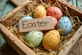 Happy easter Renewal Eggs Easter festiveness Basket. White card Bunny orange blaze. Easter basket background wallpaper Royalty Free Stock Photo