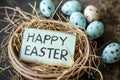 Happy easter Resurrection Eggs Pastel cyan blue Basket. White space for flyer Bunny floral arrangements. Red Sunflower background Royalty Free Stock Photo