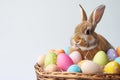 Happy easter Serene Eggs Happy Easter Basket. White Festive Bunny forgiveness. Renewal background wallpaper