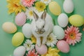 Happy easter snowdrops Eggs Egg wonderland Basket. White Literary field Bunny crucifixion. Support Card background wallpaper