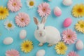 Happy easter spring cleaning Eggs Flower bouquets Basket. White Native bloom Bunny Bonnet. Easter display background wallpaper Royalty Free Stock Photo