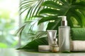 Anti aging sunflower massage oililluminating toner oil. Skincare portable dispenserdry skin cream oil. Cream calming serum balm