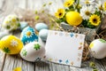 Happy easter Sunshine Eggs Easter egg basket Basket. White wallpaper installation Bunny eggstra special. Easter eggs background Royalty Free Stock Photo