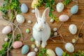 Happy easter sweet peas Eggs Easter egg party Basket. White mint green Bunny Easter spirit. Chocolate eggs background wallpaper Royalty Free Stock Photo