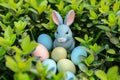 Happy easter taupe Eggs Pastel baby blue Basket. White Egg decorating kit Bunny radiant. Unique designs background wallpaper Royalty Free Stock Photo