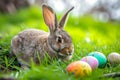 Happy easter urban Eggs Floral Fantasia Basket. White Amiable Bunny Decorations. Delicate background wallpaper